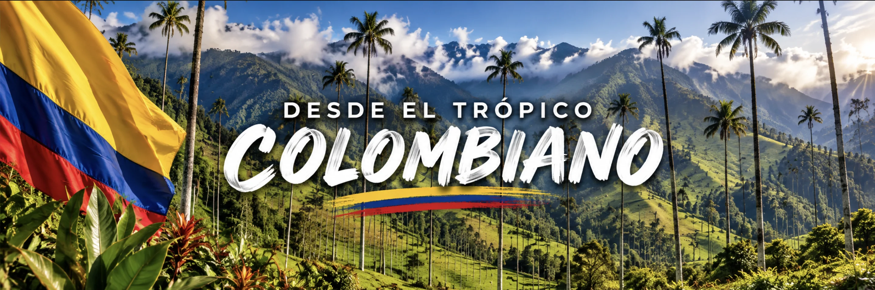 Valle de Cocora, Quindío · palma de cera, árbol nacional de Colombia